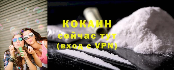 индика Вязьма