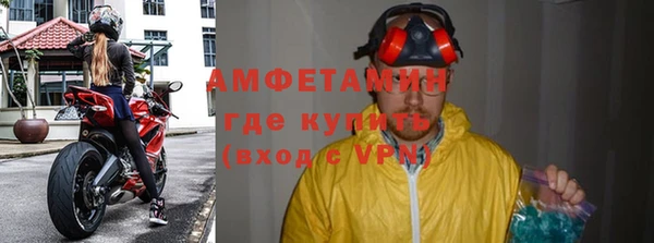 индика Вязьма