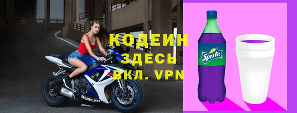 шишки Вяземский