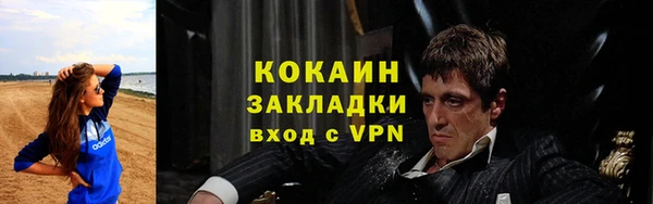 шишки Вяземский