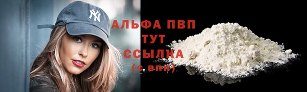индика Вязьма
