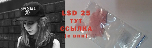 индика Вязьма