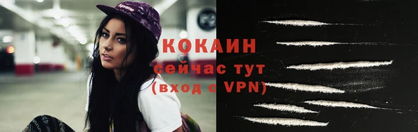шишки Вяземский