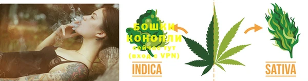 шишки Вяземский