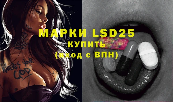 сатива Вязники