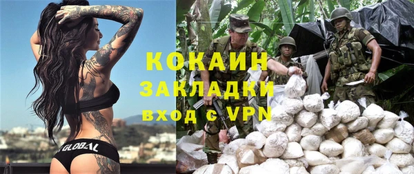 индика Вязьма