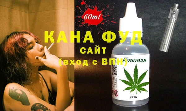 индика Вязьма
