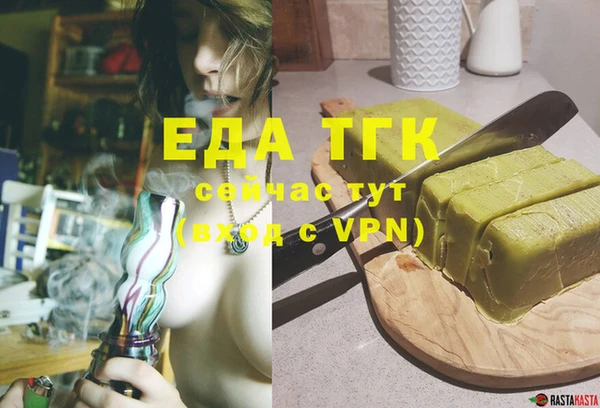 индика Вязьма