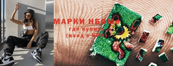 шишки Вяземский