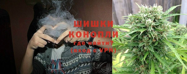 сатива Вязники