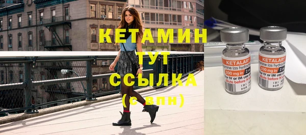 индика Вязьма
