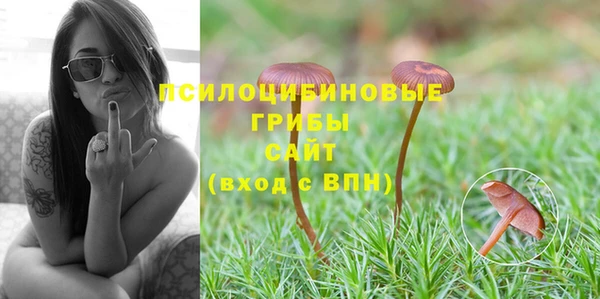 индика Вязьма