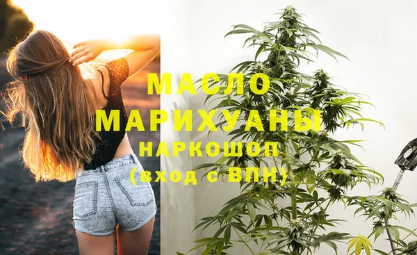 индика Вязьма