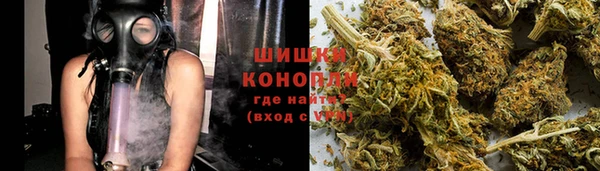 шишки Вяземский