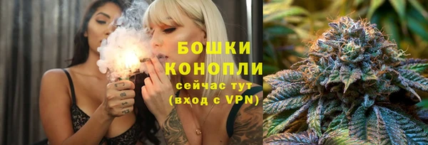 шишки Вяземский